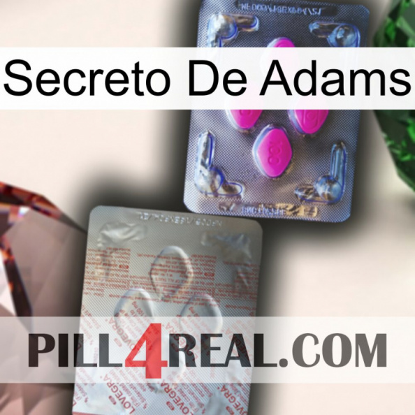 Adams Secret 38.jpg